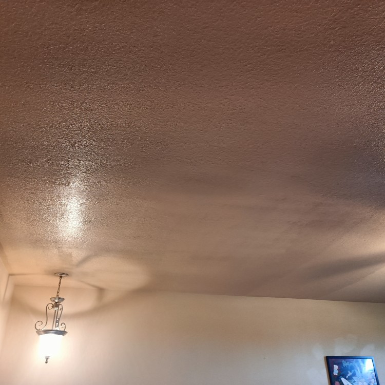 Drywall and Painting Services in Baytown, TX